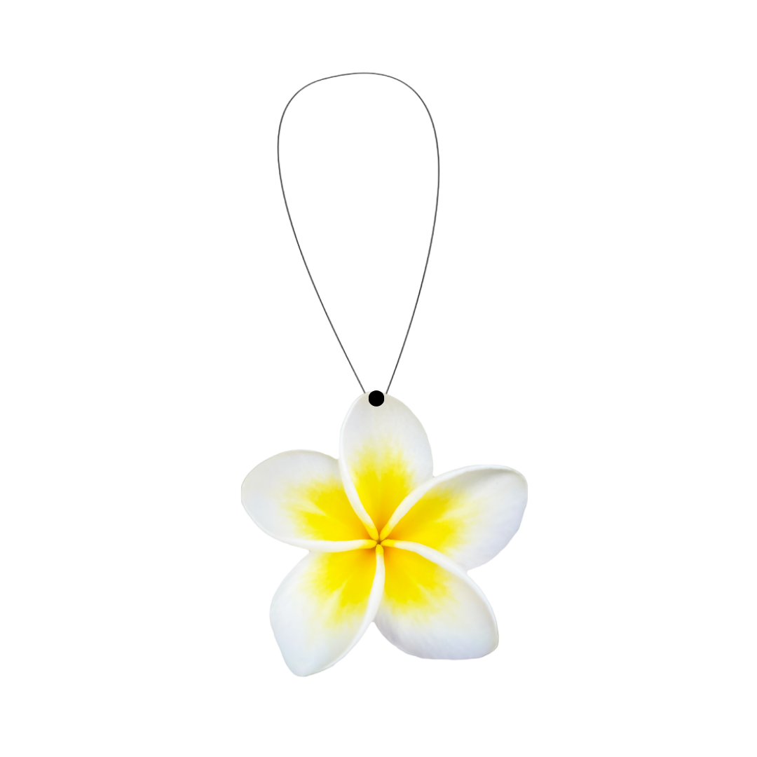 Frangipani Perfumed Car Air Freshener